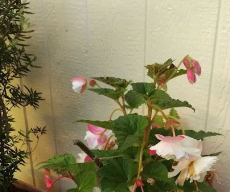 Indian Bluff Mobile Home Park