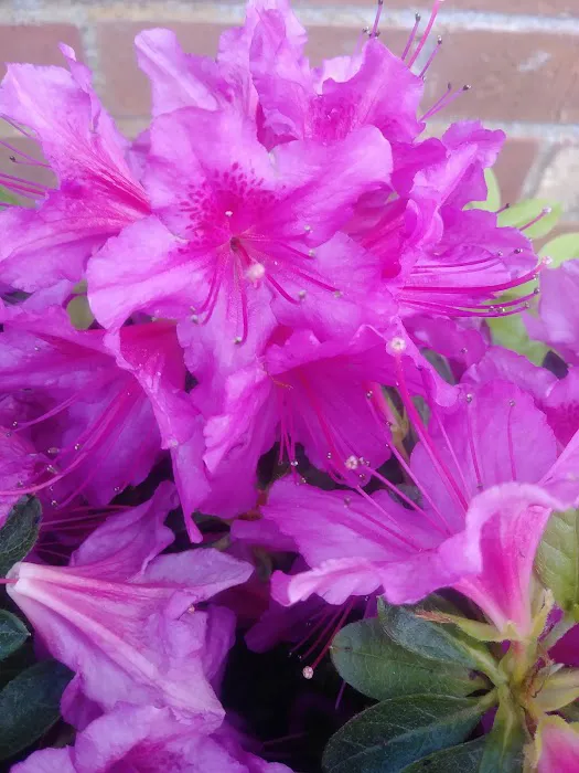 Indian Bluff Mobile Home Park Picture 8