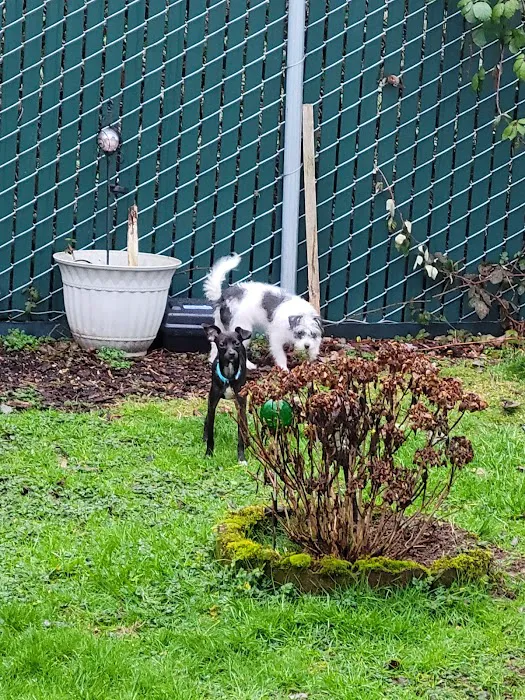 Indian Bluff Mobile Home Park Picture 6