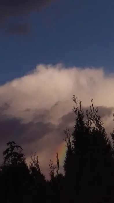 Indian Bluff Mobile Home Park Picture 7