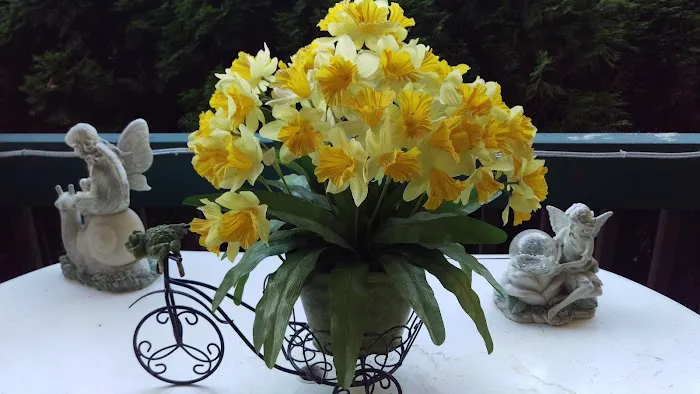 Indian Bluff Mobile Home Park Picture 5