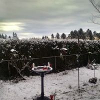 Maple Lane Estates ico