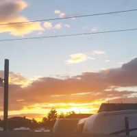 Cherry Lane Mobile Park ico