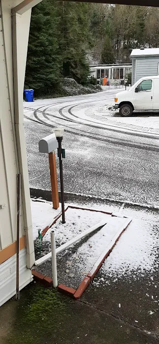 Forest Park Mobile Village Picture 1