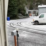 Forest Park Mobile Village