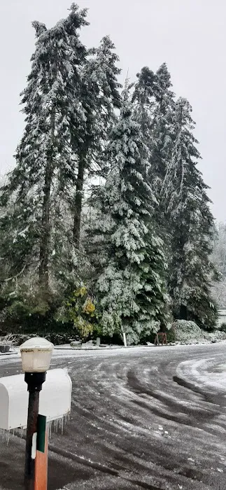 Forest Park Mobile Village Picture 3