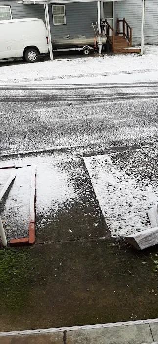 Forest Park Mobile Village Picture 2