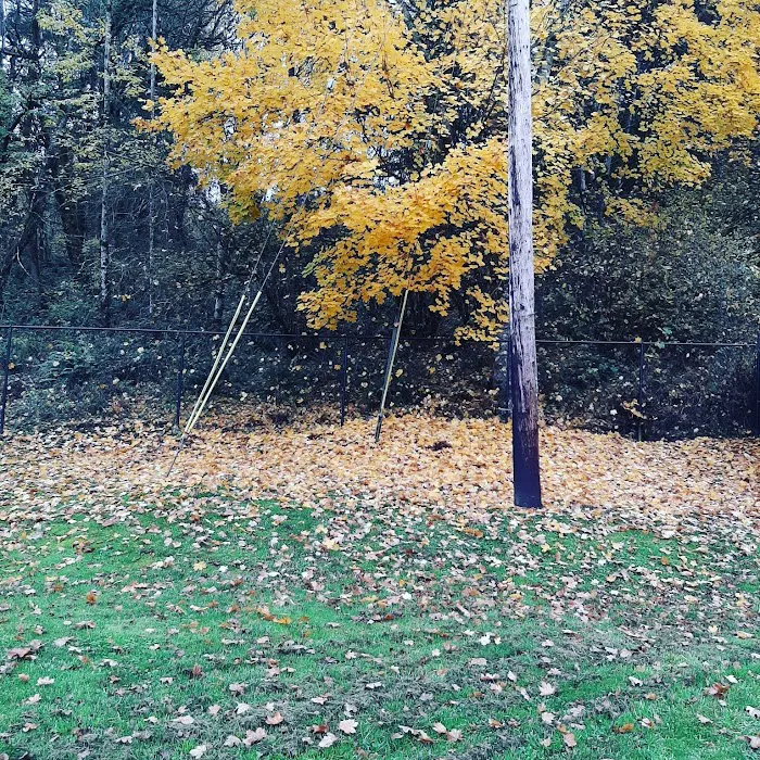 Forest Park Mobile Village Picture 4