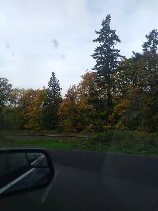 Forest Park Mobile Village Picture 10