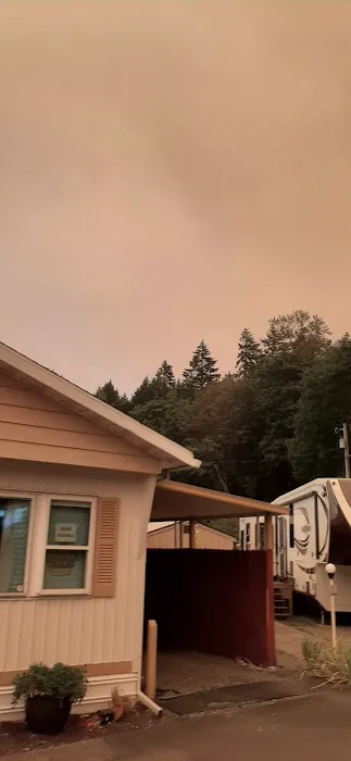 Forest Park Mobile Village Picture 6