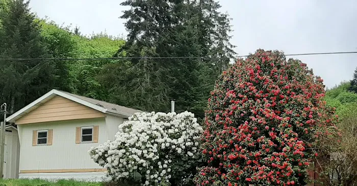 Forest Park Mobile Village Picture 7