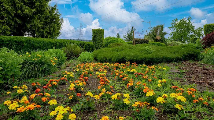 Country Village Estates Picture 6