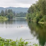 Lewis River RV Park and Country Store