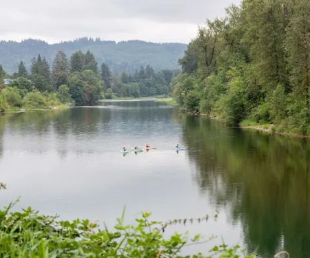 Lewis River RV Park and Country Store