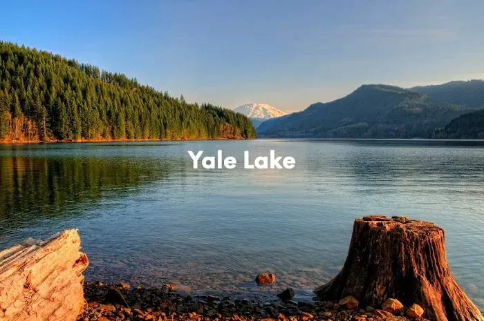 Lewis River RV Park and Country Store Picture 5