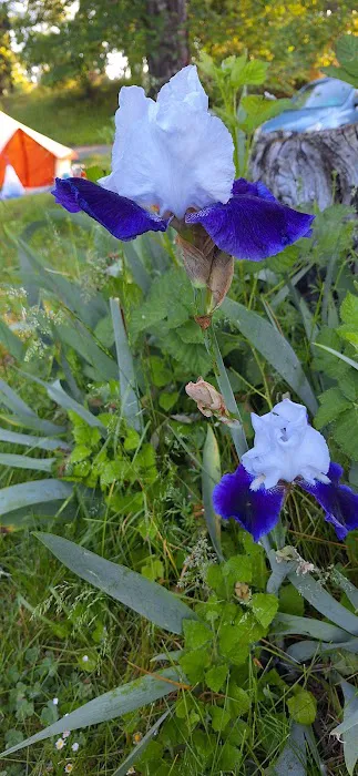 Elks RV Park Picture 1