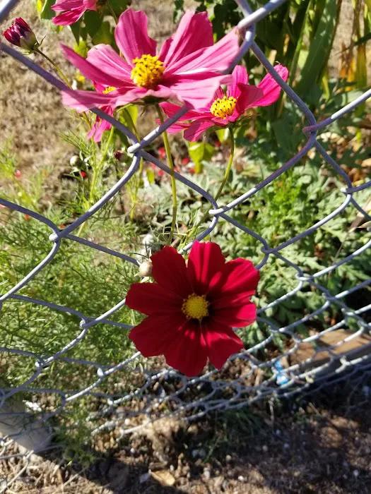 Canby Regency Picture 2