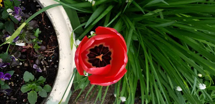 Elmwood MHC Picture 6