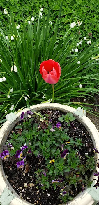 Elmwood MHC Picture 4