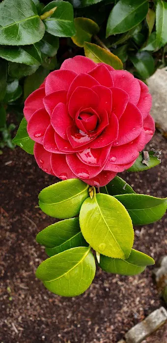 Elmwood MHC Picture 1