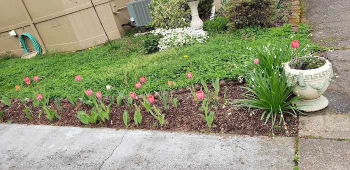 Elmwood MHC Picture 9