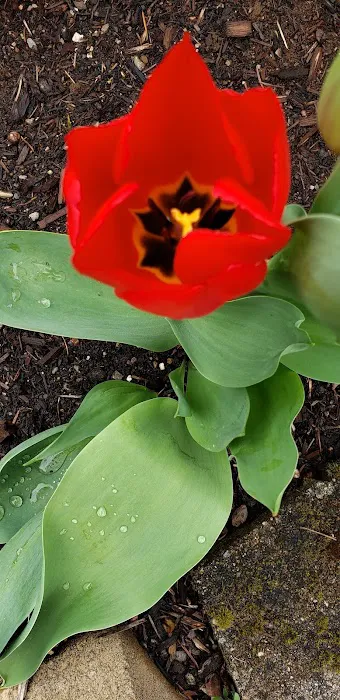 Elmwood MHC Picture 8