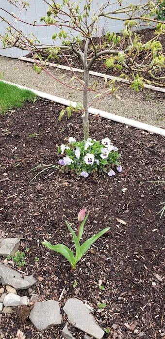 Elmwood MHC Picture 7