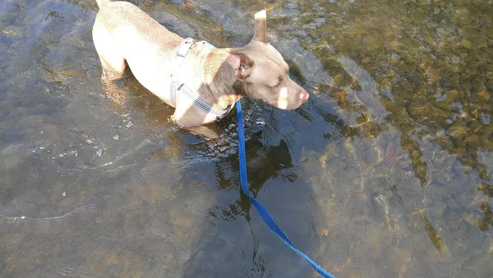 Riverside RV Park Picture 2