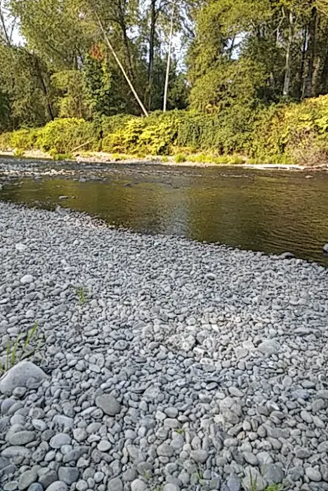 Riverside RV Park Picture 3