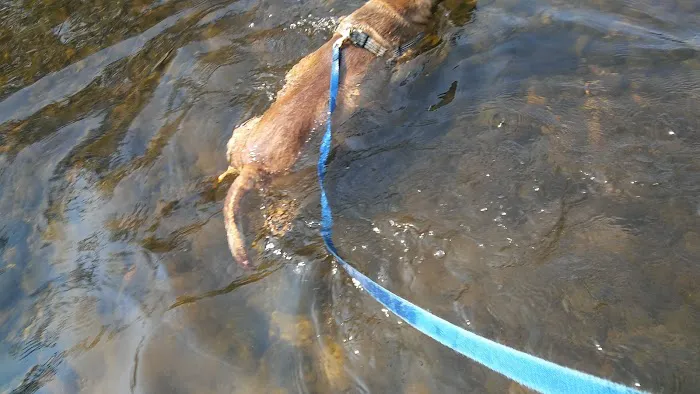 Riverside RV Park Picture 1