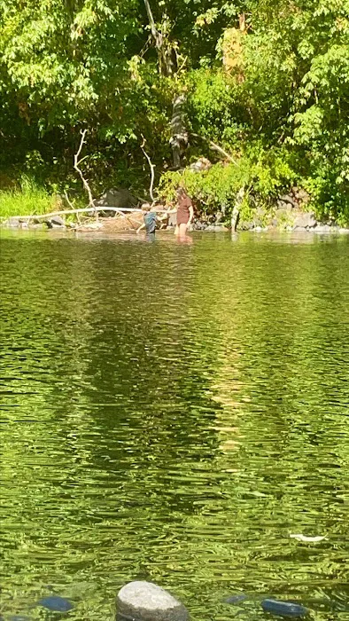 Riverside RV Park Picture 4