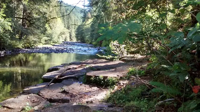 Riverside RV Park Picture 6