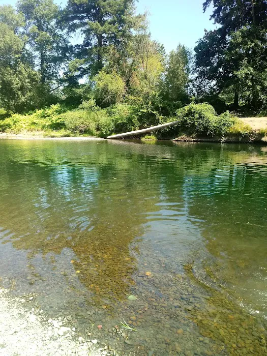 Riverside RV Park Picture 8