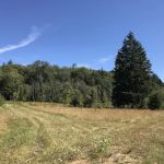 Western Hills Mobile Home Park