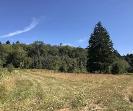 Western Hills Mobile Home Park