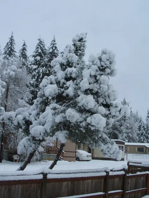 Western Hills Mobile Home Park Picture 10