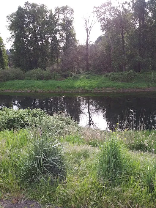 Columbia River Mobile Park Picture 2