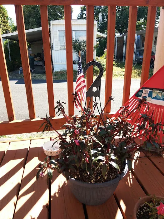 Delray Mobile Home / RV Park Picture 1