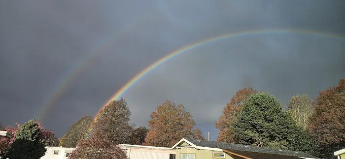 Delray Mobile Home / RV Park Picture 4