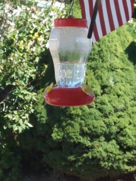 Delray Mobile Home / RV Park Picture 2