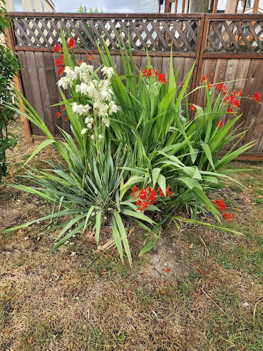 Delray Mobile Home / RV Park Picture 8