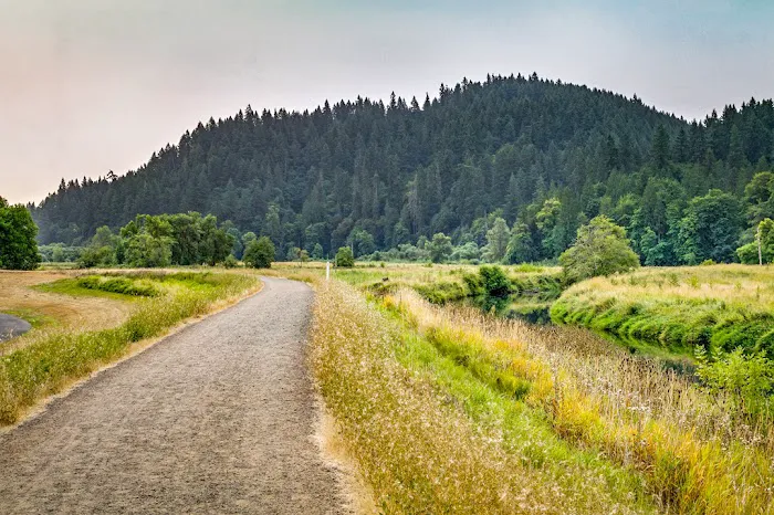 Brookhollow RV Park Picture 6