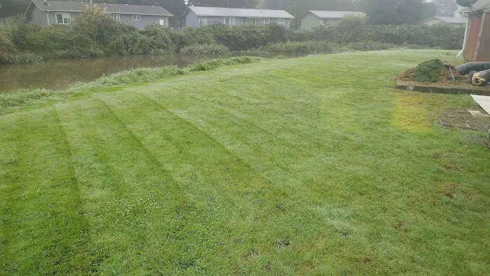 Sunny Meadows Mobile Home Park Picture 3