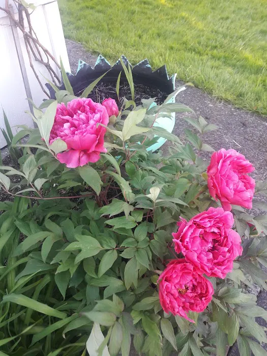 Sunny Meadows Mobile Home Park Picture 10