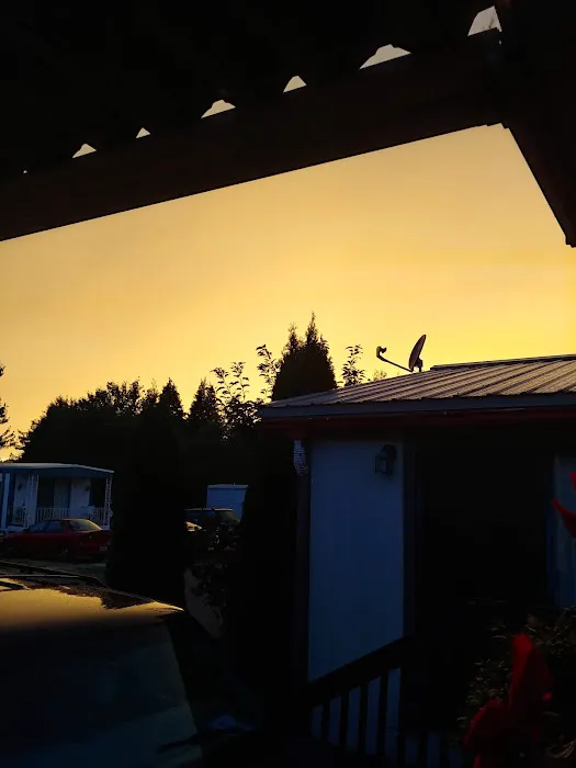 Del Ray II Picture 5