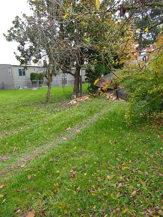 Del Ray II Picture 6