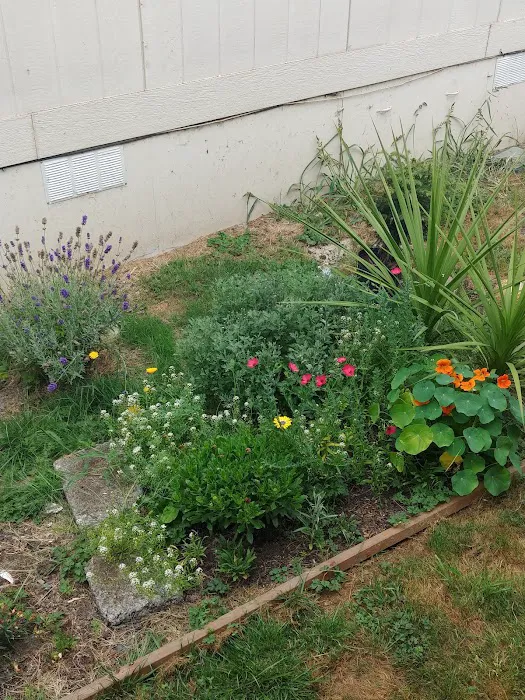 Del Ray II Picture 10