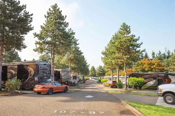 Sun Outdoors Portland South Picture 7