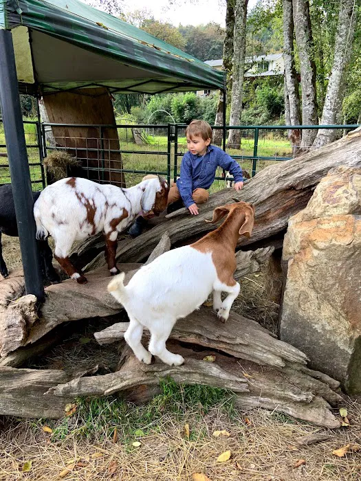 RV Outdoor Adventures & Cabins Picture 4