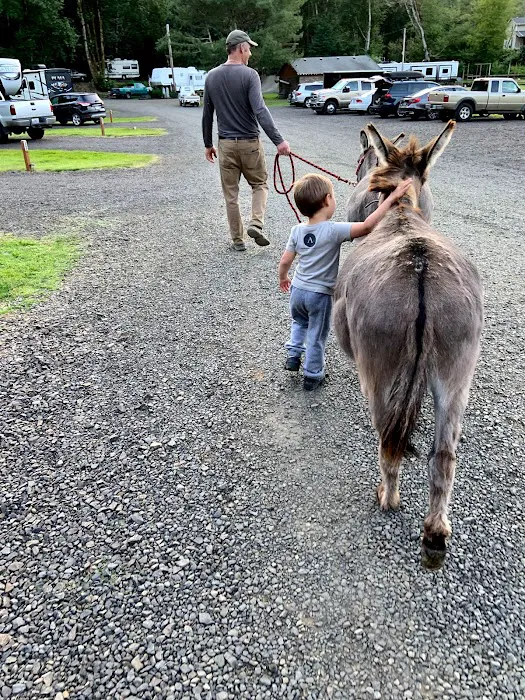 RV Outdoor Adventures & Cabins Picture 5